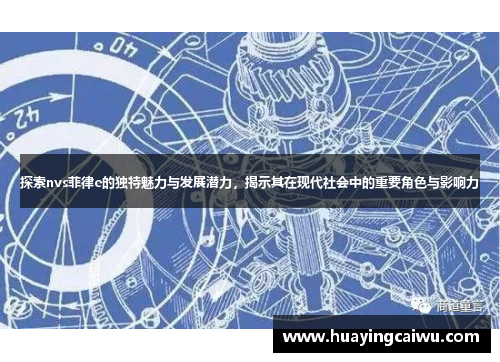 探索nvs菲律e的独特魅力与发展潜力，揭示其在现代社会中的重要角色与影响力